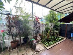Sungrove (D5), Semi-Detached #497595901